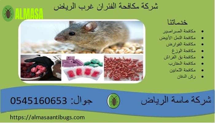 شركة مكافحة الفئران غرب الرياض 0545160653