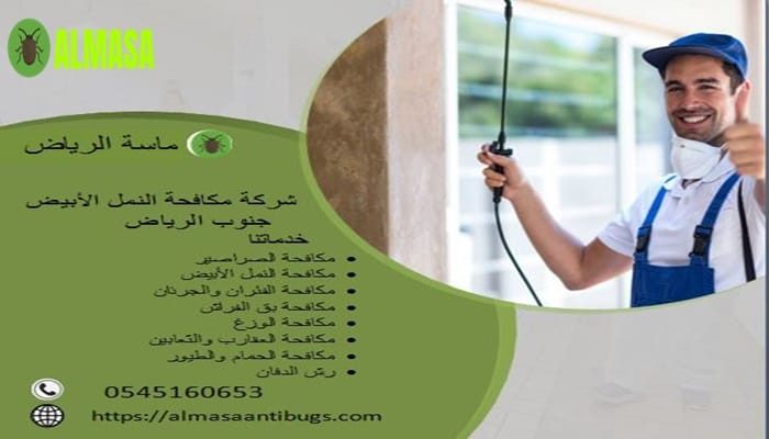 شركة مكافحة النمل الأبيض جنوب الرياض 0545160653