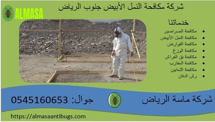 شركة مكافحة النمل الأبيض جنوب الرياض 0545160653