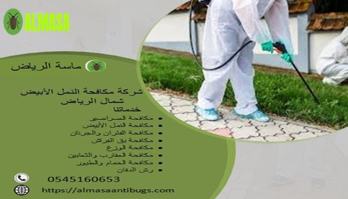 شركة مكافحة النمل الأبيض بشمال الرياض| 0545160653