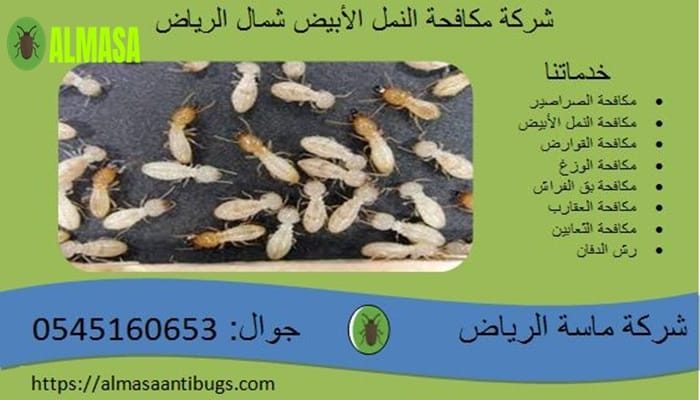 شركة مكافحة النمل الأبيض بشمال الرياض| 0545160653