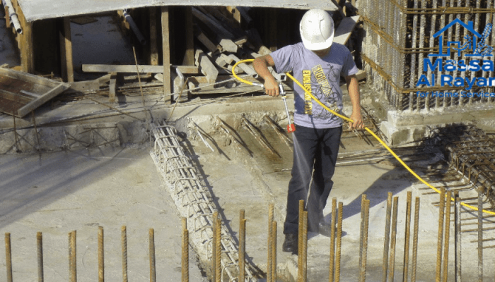 أفضل شركة مكافحة النمل الأبيض جنوب الرياض