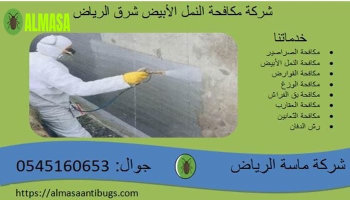 شركة مكافحة الأبيض شرق الرياض | 0545160653