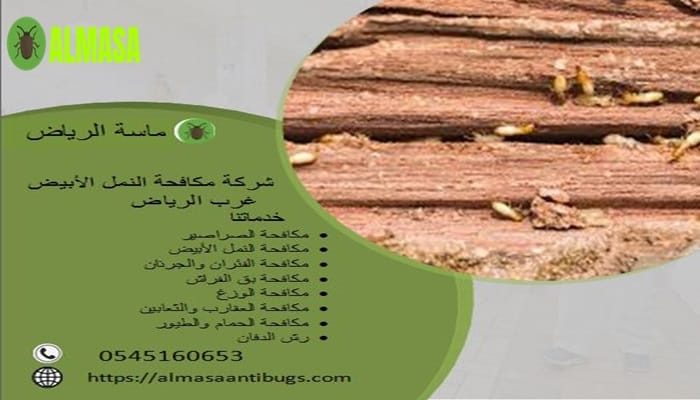 شركة مكافحة النمل الأبيض غرب الرياض 0545160653