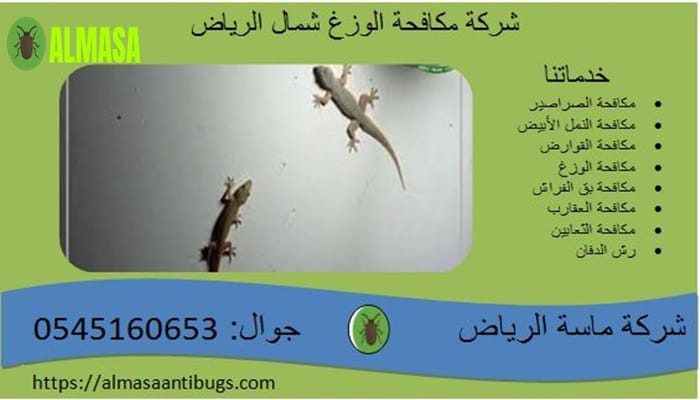 شركة مكافحة الوزغ بشمال الرياض| 0545160653