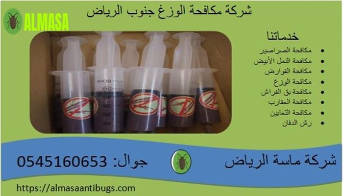 شركة مكافحة الوزغ جنوب الرياض 0545160653
