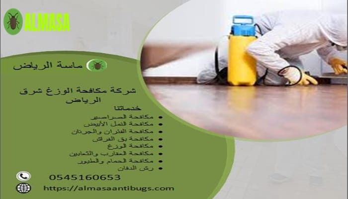 شركة مكافحة الوزغ شرق الرياض 0545160653