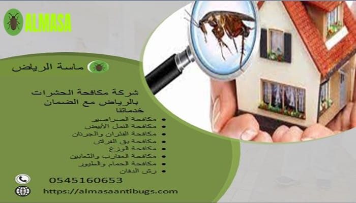 شركة مكافحة حشرات بالرياض مع الضمان | 0545160653