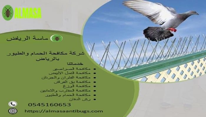 شركة مكافحة حمام بالرياض | 0545160653