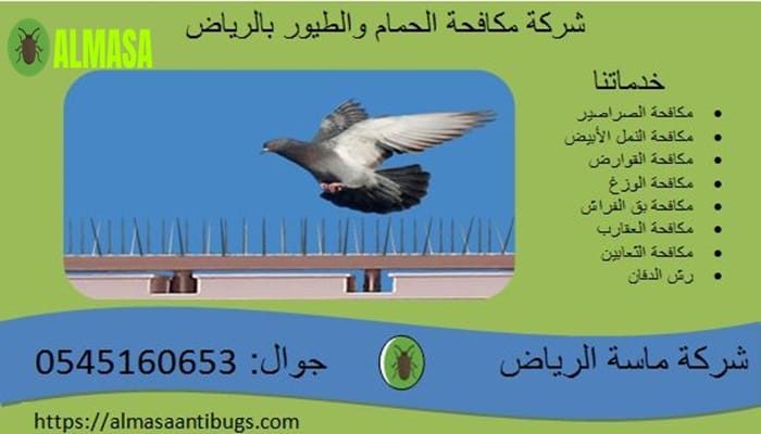 شركة مكافحة حمام بالرياض | 0545160653 شركة مكافحة حمام بالرياض | 0545160653