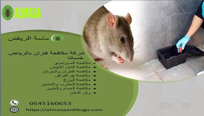 شركة مكافحة فئران بالرياض| 0545160653 شركة مكافحة فئران بالرياض| 0545160653