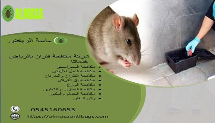 شركة مكافحة فئران بالرياض| 0545160653