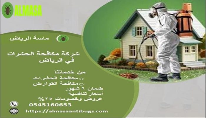 شركة مكافحة الحشرات في الرياض