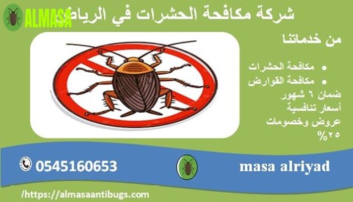 شركة مكافحة الحشرات في الرياض