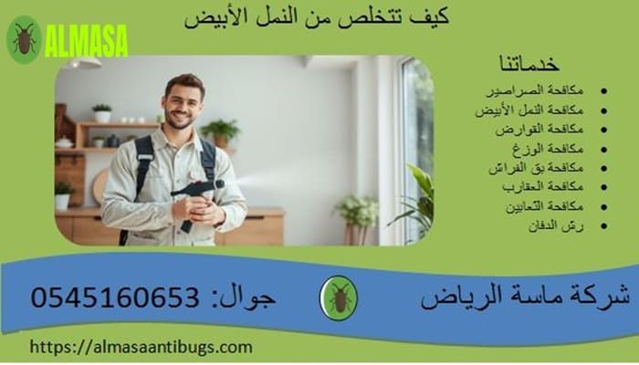 كيف تتخلص من النمل الأبيض(الأرضة) فى المنزل؟