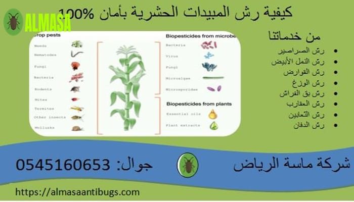 كيفية رش المبيدات الحشرية بأمان 100%