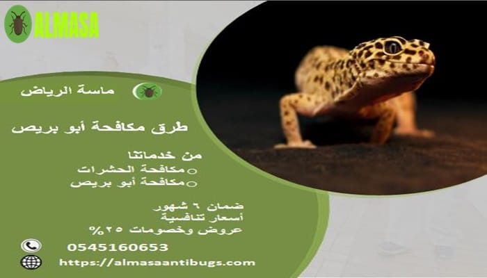 مكافحة أبو بريص