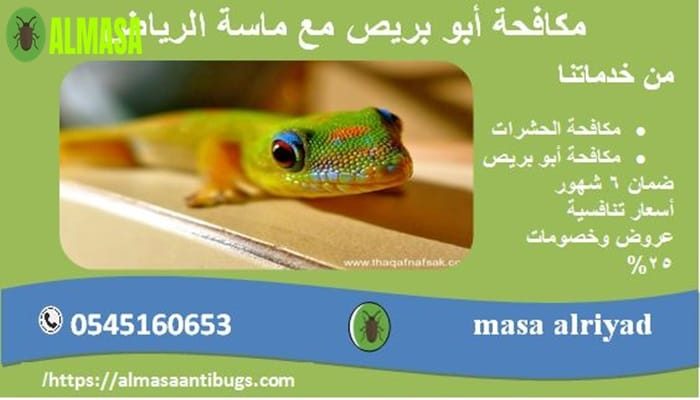 مكافحة أبو بريص