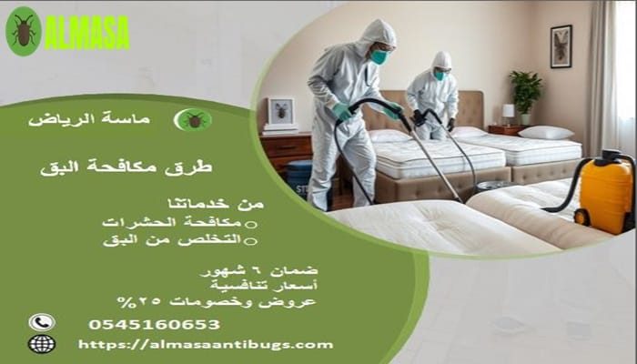 مكافحة البق