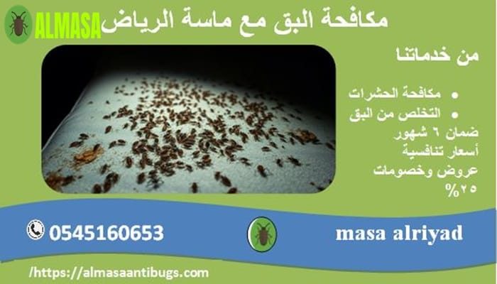 مكافحة البق