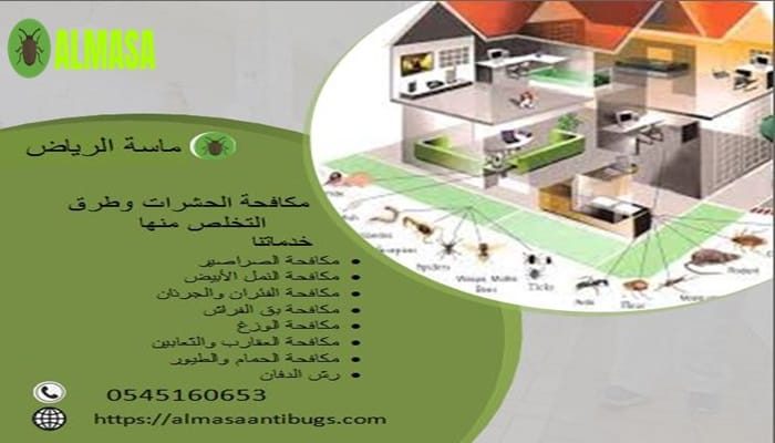 مكافحة الحشرات | 0545160653