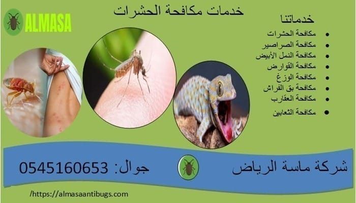 خدمات مكافحة الحشرات | 0545160653 خدمات مكافحة الحشرات | 0545160653
