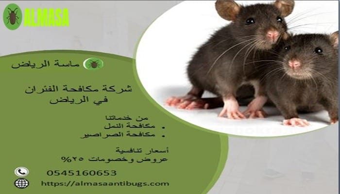 مكافحة الفئران فى الرياض| 0545160653