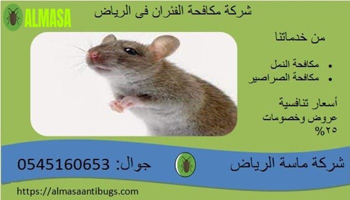 مكافحة الفئران فى الرياض| 0545160653 مكافحة الفئران فى الرياض| 0545160653
