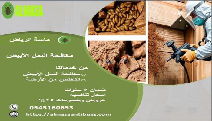 مكافحة النمل الأبيض