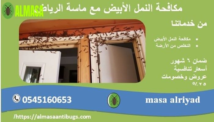 مكافحة النمل الأبيض