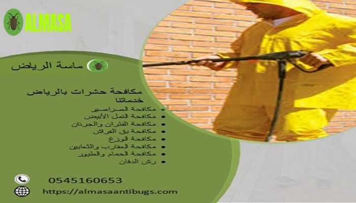 مكافحة حشرات بالرياض | 0545160653