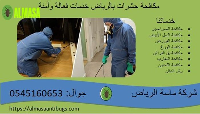 مكافحة حشرات بالرياض | 0545160653