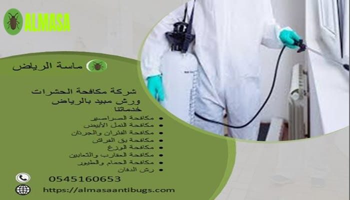 مكافحة حشرات رش مبيد بالرياض | 055160653