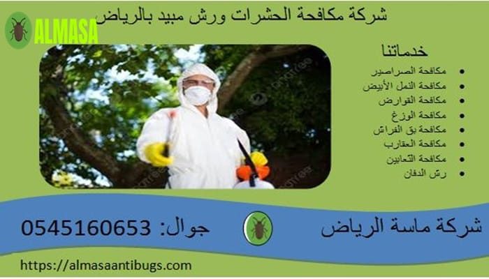 مكافحة حشرات رش مبيد بالرياض | 055160653